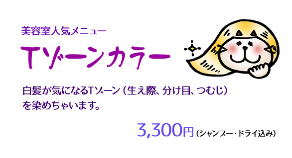 Tゾーンカラー